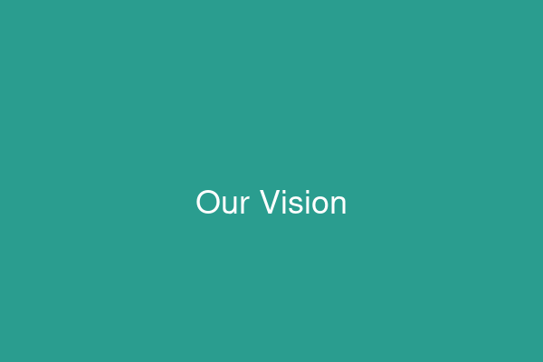 Our Vision